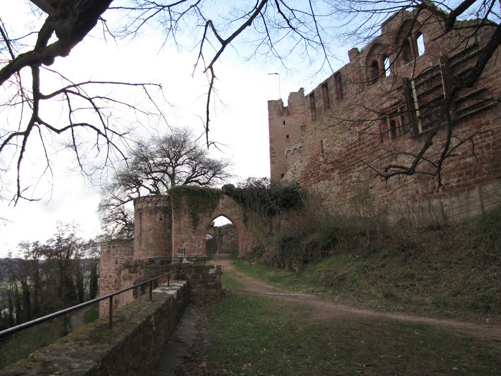 Henneburg Stadtprozelten by Günter König