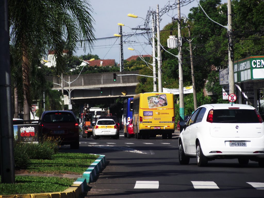 Transito na avenida...By SusyDienstbach by Susy Dienstbach