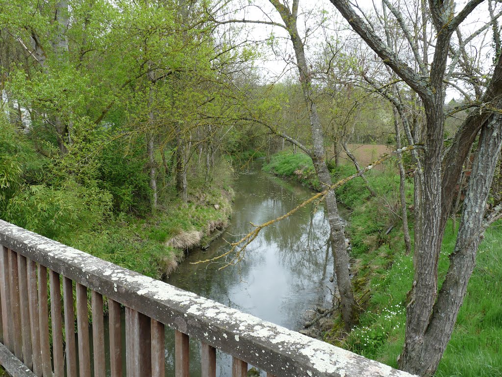 Pont sur l'Ausonnelle by dhslt