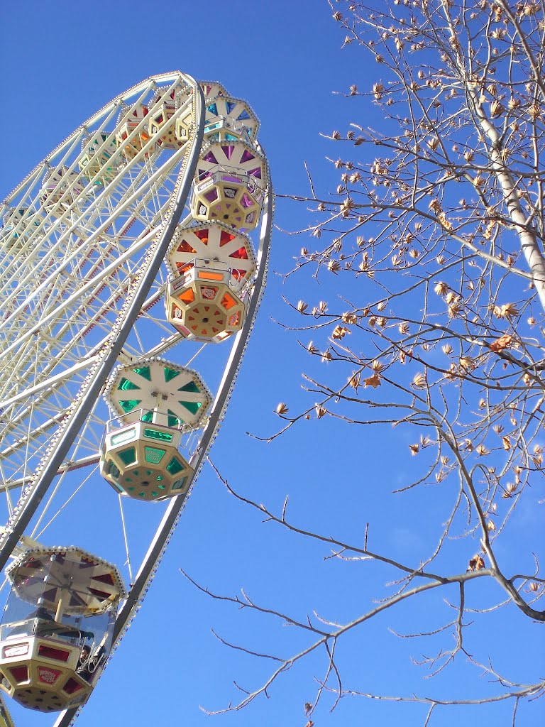 La Grand'Roue by ln63