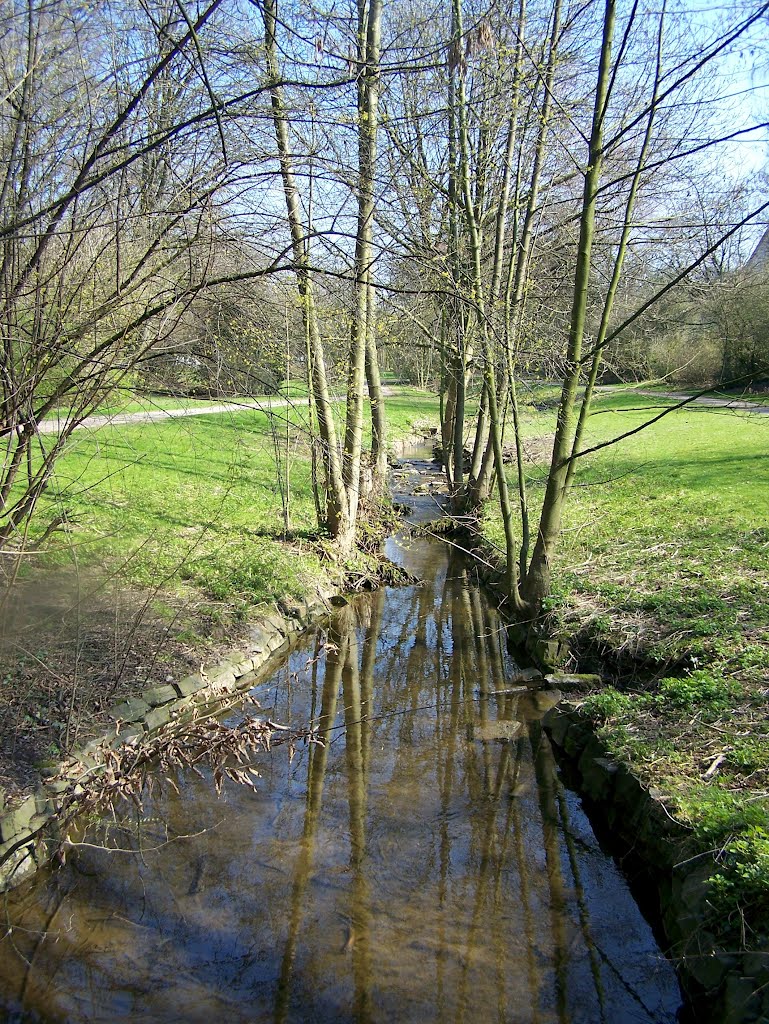 Bach im Grünzug Nord by Ja Wi