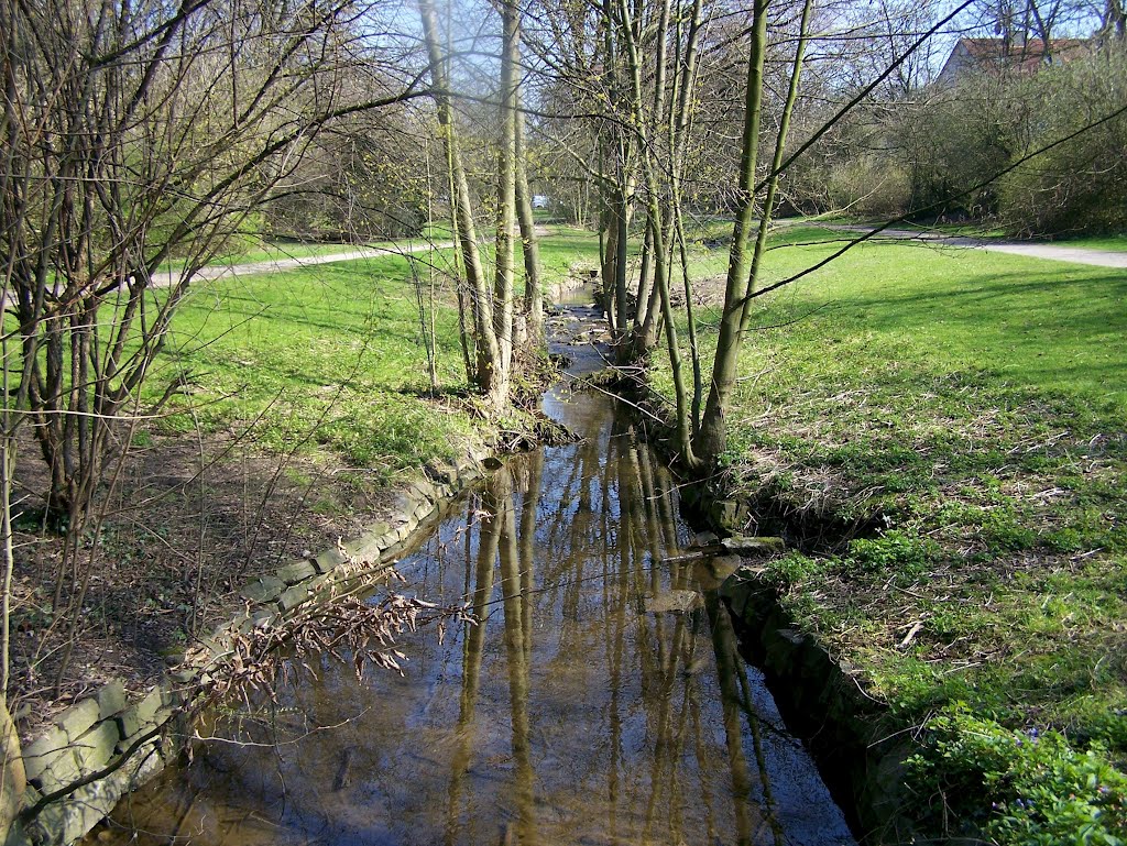 Bach im Grünzug Nord by Ja Wi