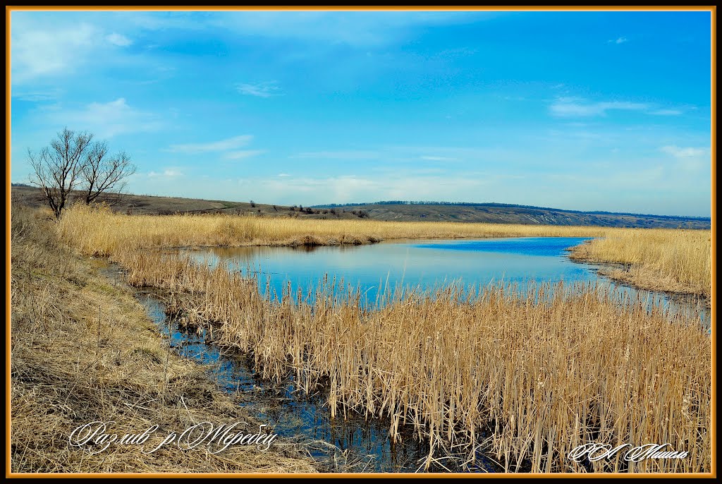 Большая вода в р.Жеребец by Михаил Очеретный