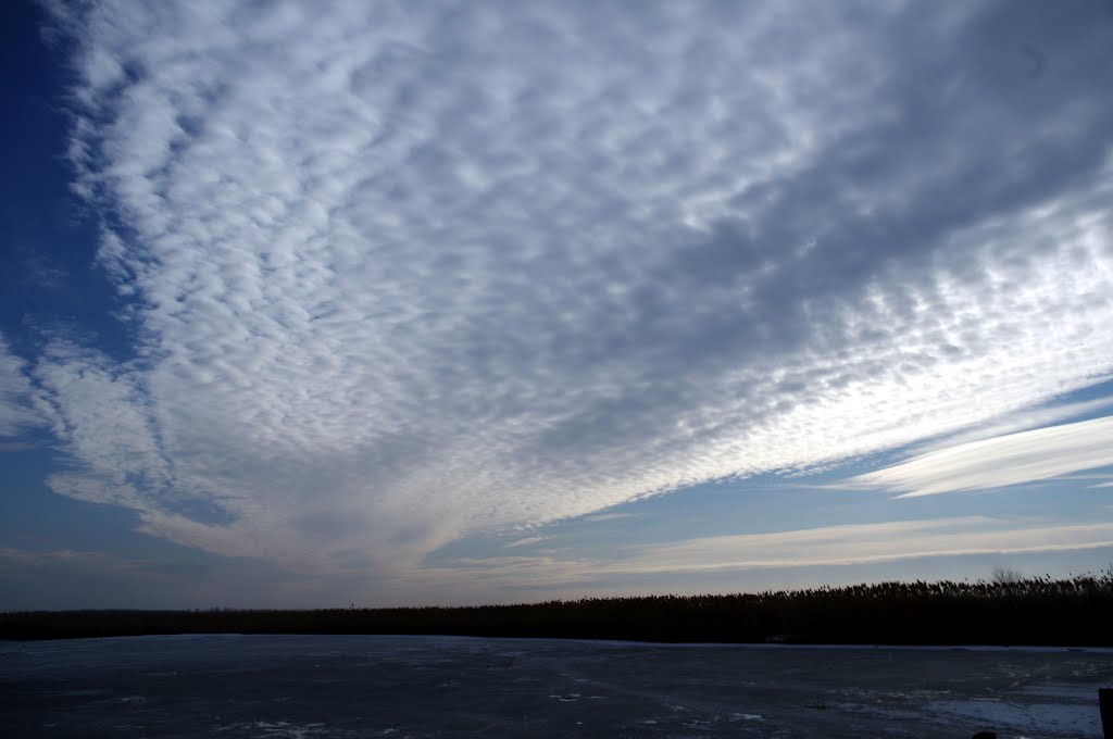 Pákozd, Velencei-tó by Sándor Bajári