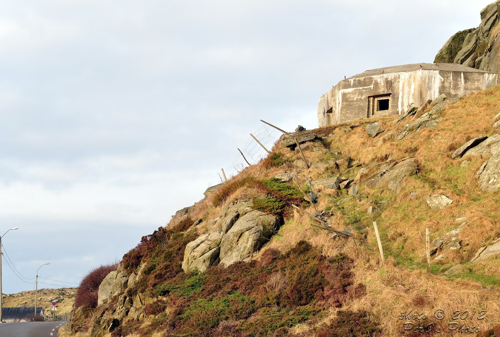 WWII Bunker over Veggevika by PerO the Viking G-