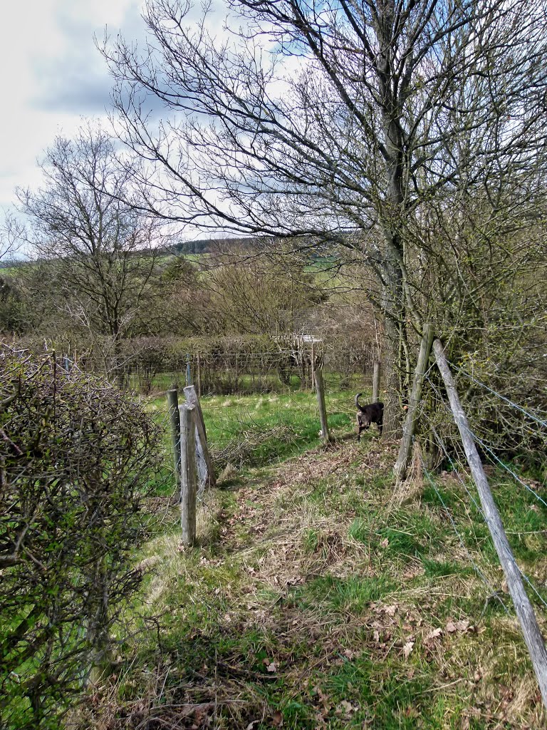 Petit Chemin de l'ecole vers la croix #2 by Warnotte R.