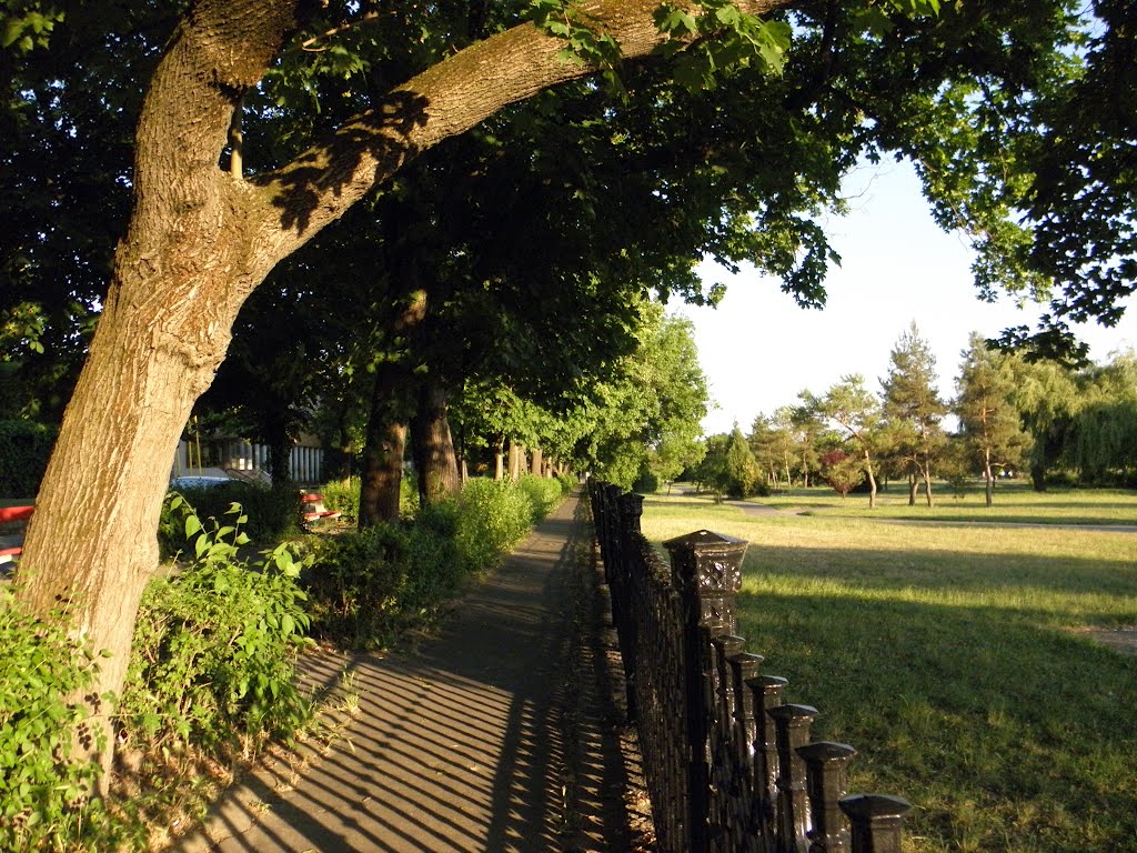 Váci sétány / Vac Promenade by Kisné Nagy Rózsa