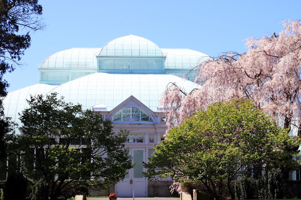 The New York Botanical Garden by 漂亮妈咪