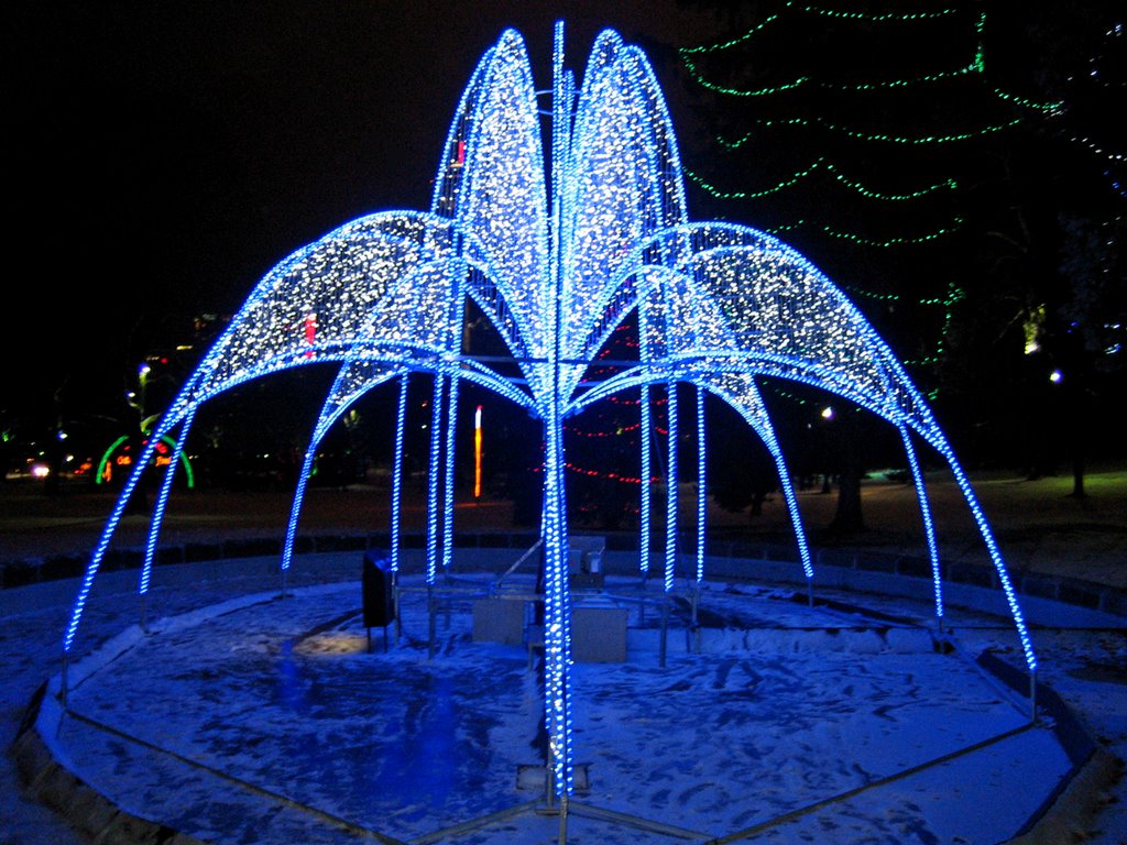 Cool Xmas decorations at Queen Victoria Park by Nikbrovnik