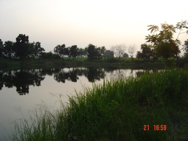 Ban Nong Hua Ngok by Chamrat Charoenkhet