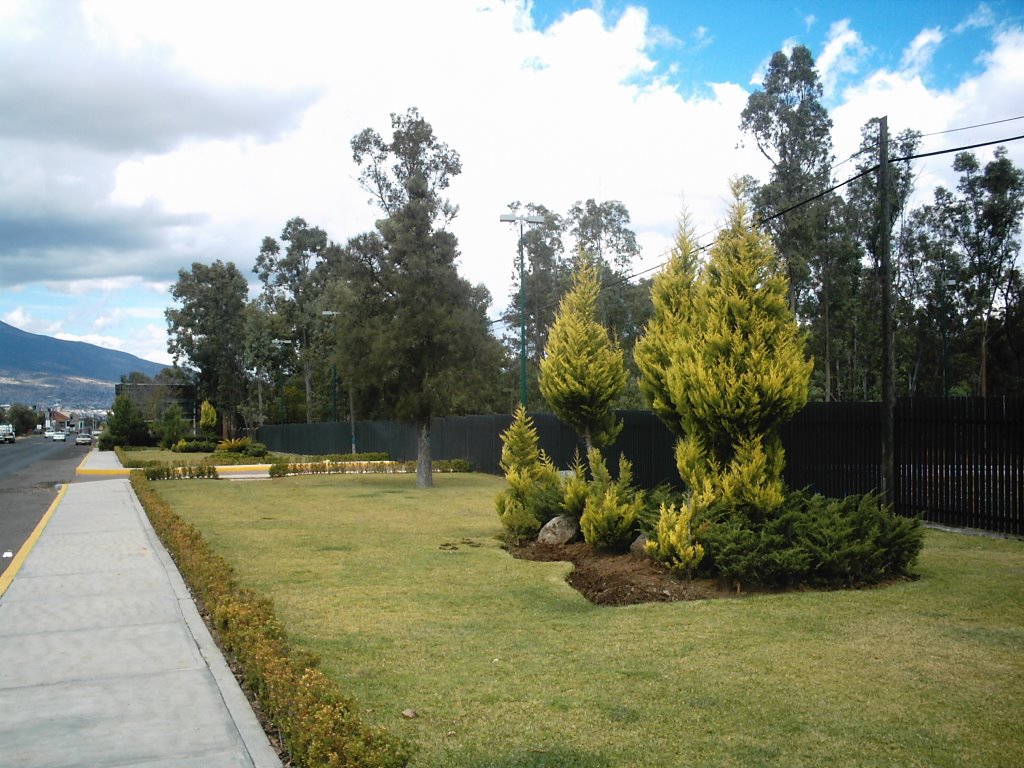 Jardín exterior, UNAM. by eortiz