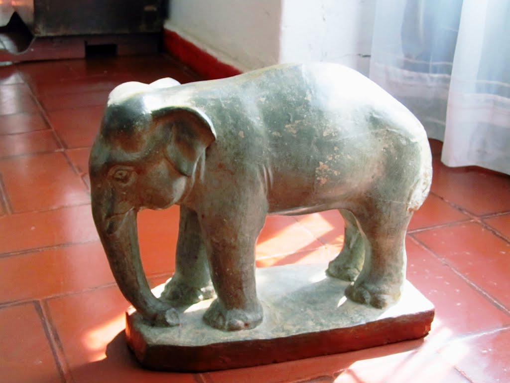 ELEFANTE by Fabio E. Prieto S.