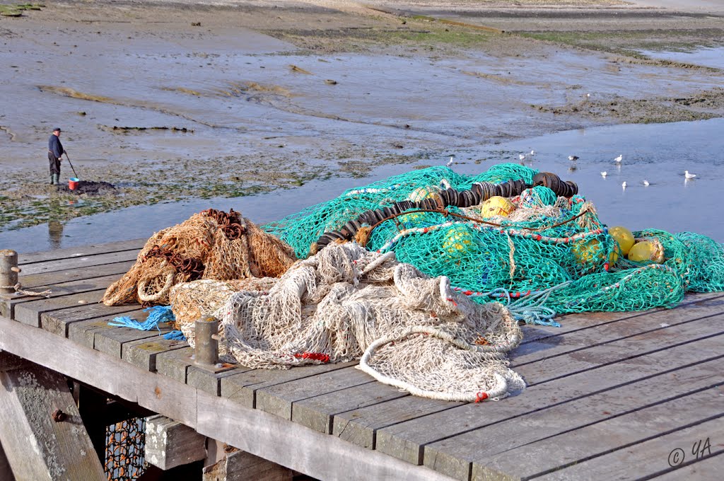 Courseulles-sur-Mer : La pêche ! by Y. A, Villyssois.