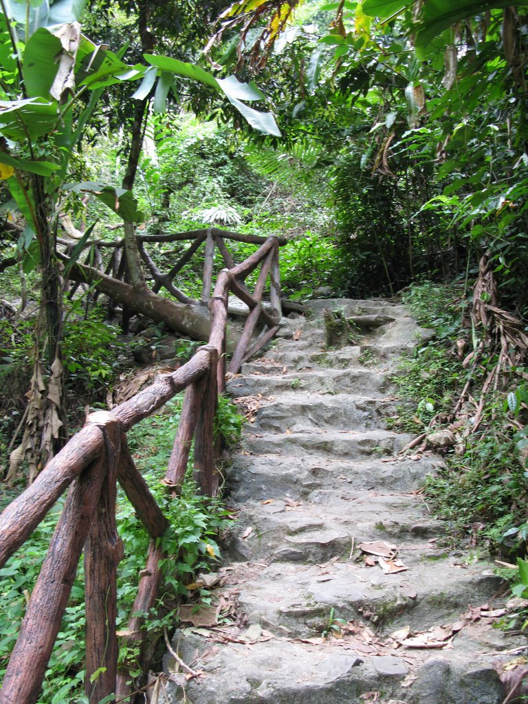 Langkawi, way to waterfall by Igor Goncharov