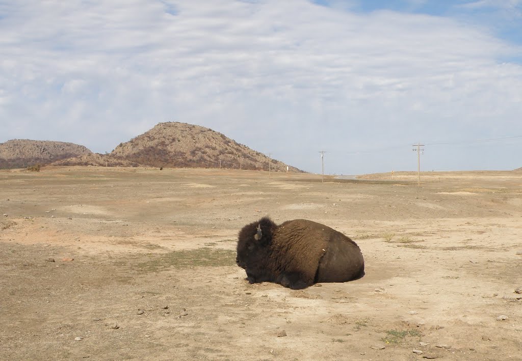 Wichita Mountains Wildlife Refuge , Oklahoma - Comanche County by MARELBU