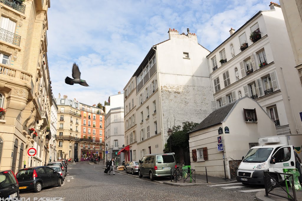 Rue Lepic and a pigeon by Karolina P.