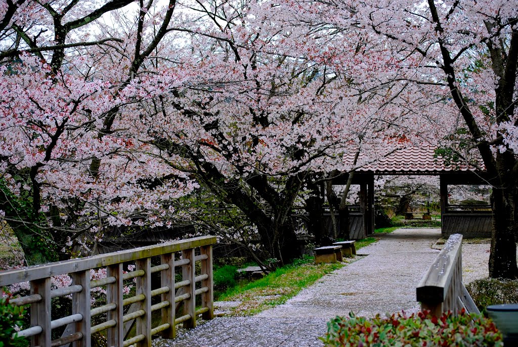 Park:Kutani-no-mori　九谷の杜公園 by paleblue49