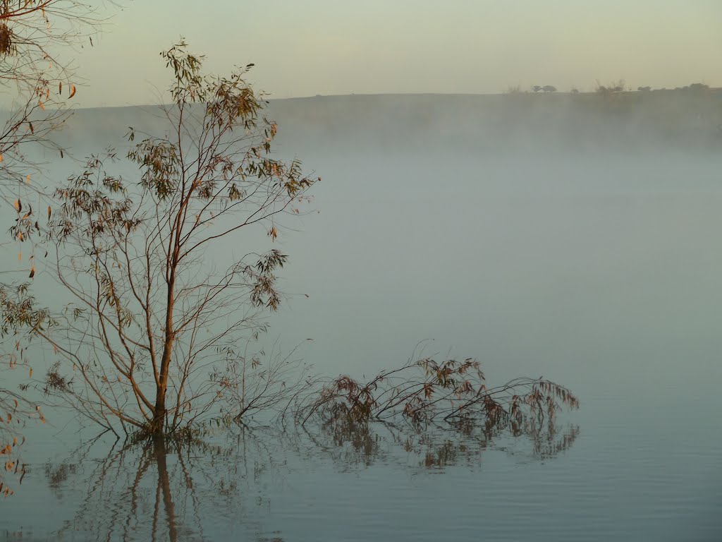 Fog, frost & chill some morning by Matthew R Lee