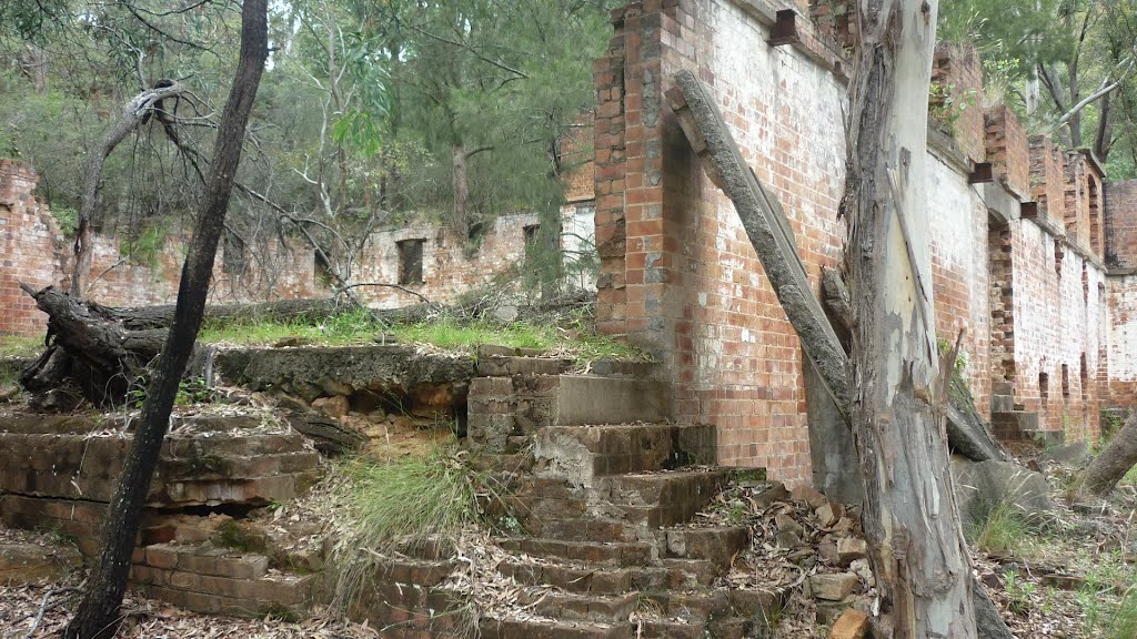 Newnes NSW 2790, Australia by con kotevski