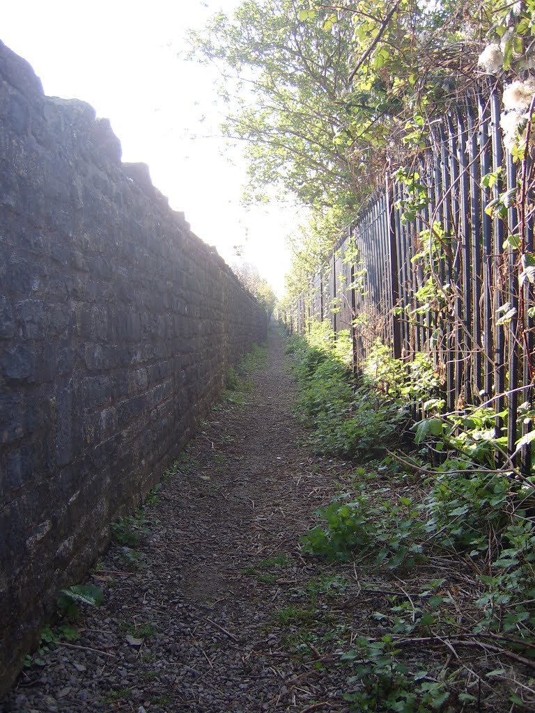 Saltford Railway Path by Keith Daulby