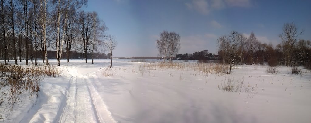 Pushkinsky District, Moscow Oblast, Russia by Алексей Бедринский