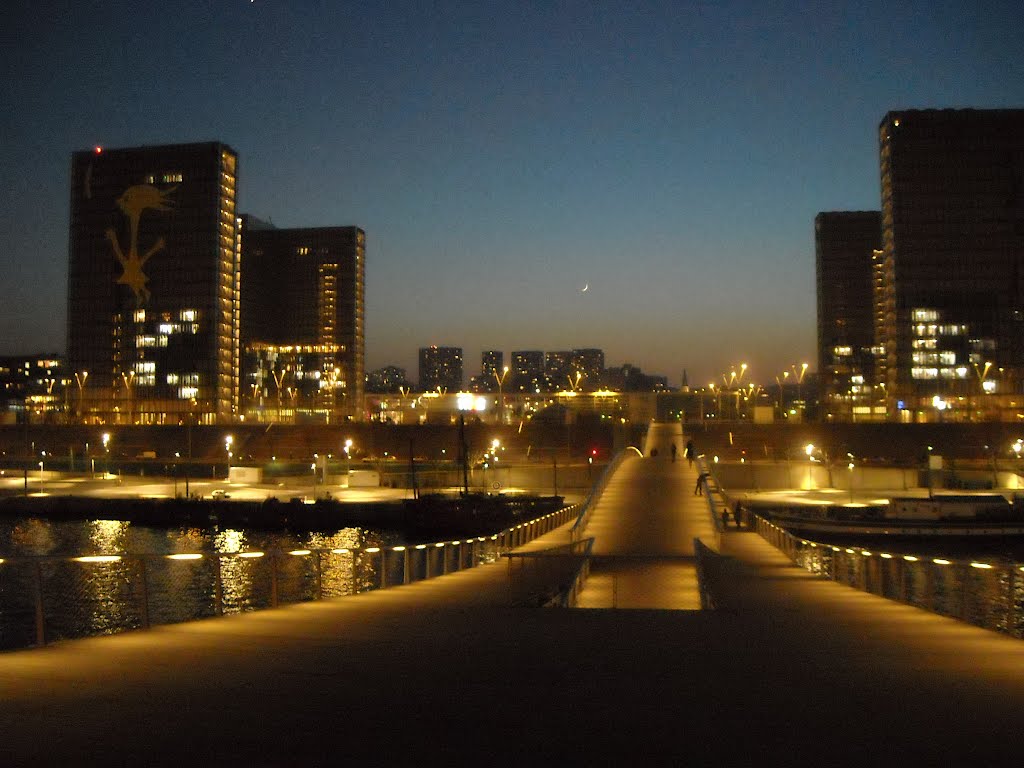 Passerelle Simone de Beauvoir by Jean-Baptiste Yunès