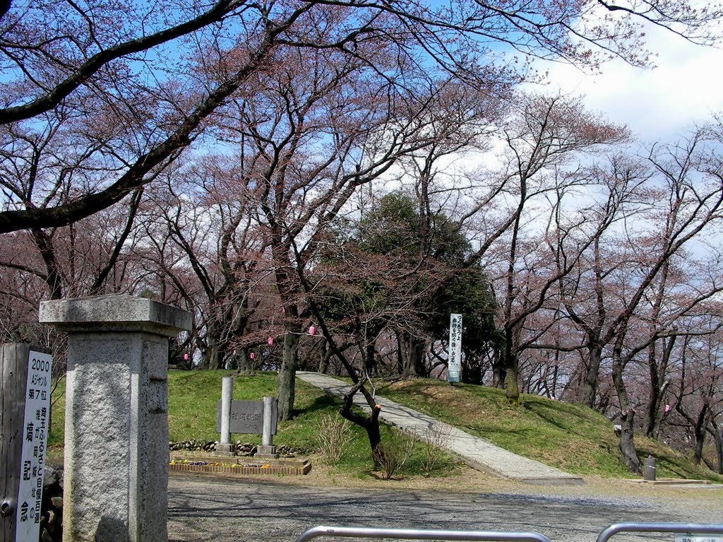 雉岡城跡 城山公園 by 咲太鰻