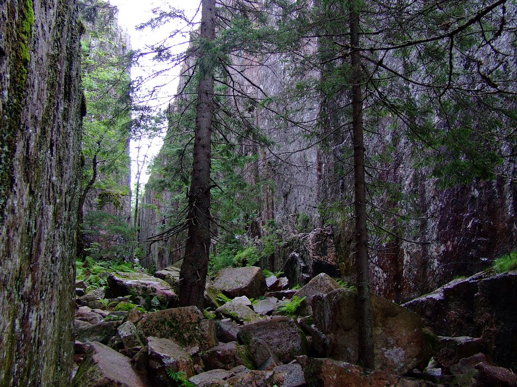 Skuleskogen nationalpark by manko