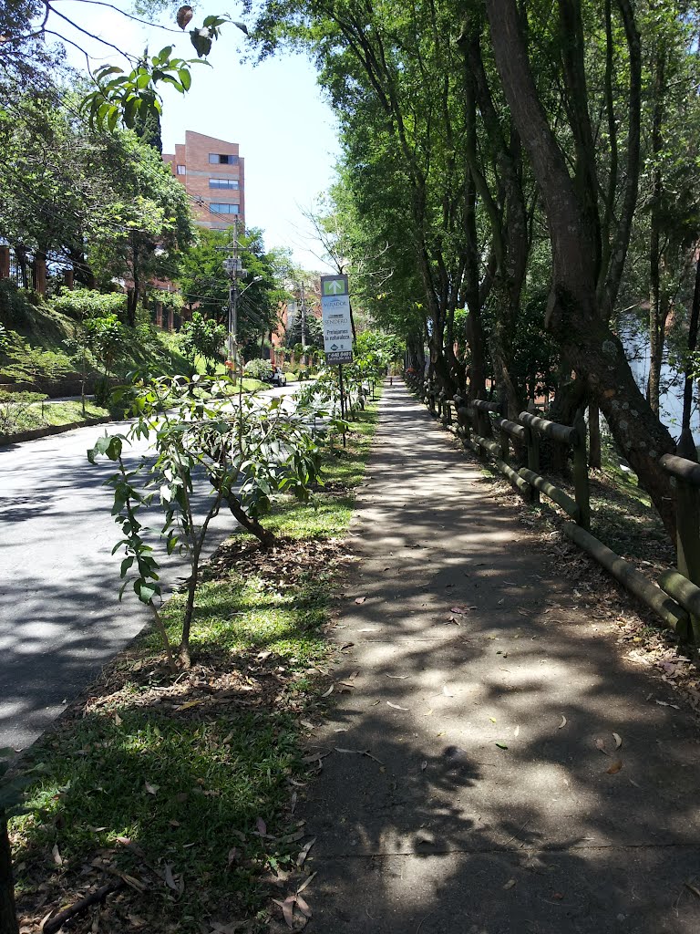 Calle 5 - Loma de Los Bernal by Jesusalberto