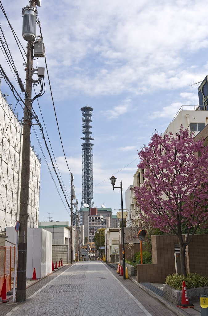 Saneicho, Shinjuku, Tokyo 160-0008, Japan by Yuki Sugiura