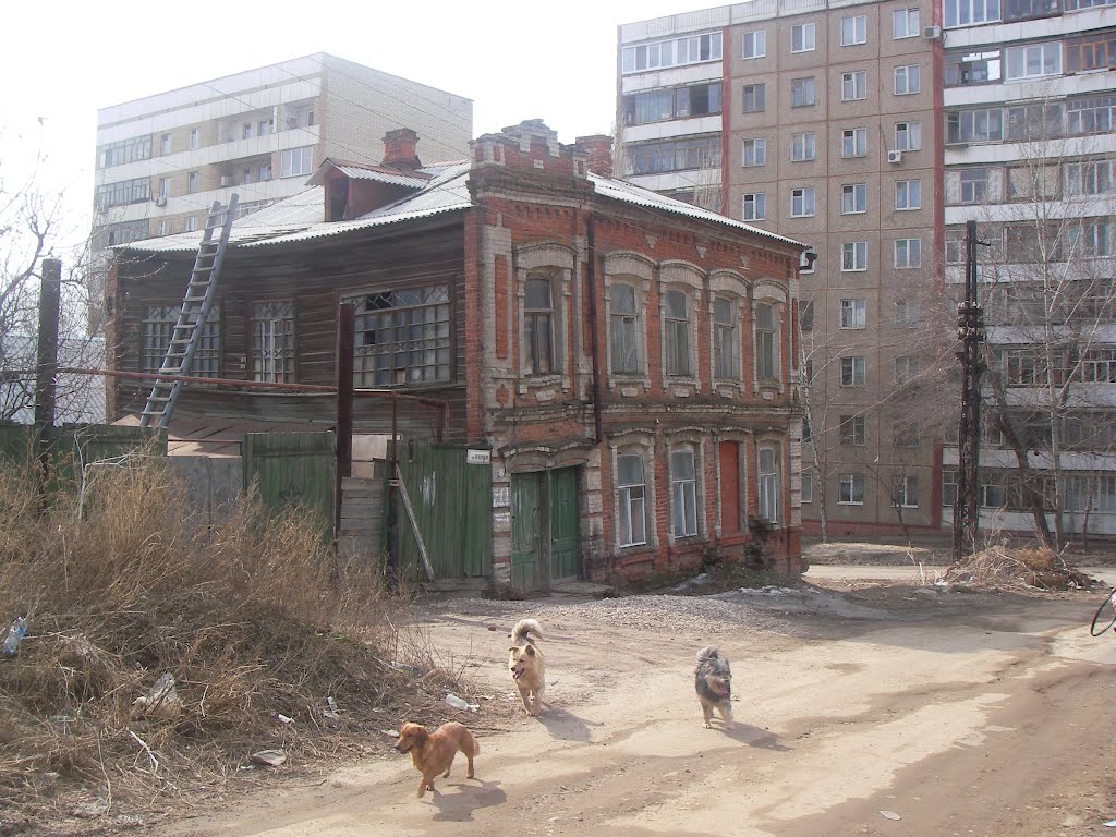 Old house on unknown Saratov's street near Sokolovaya Mountain. by AquamarineRus