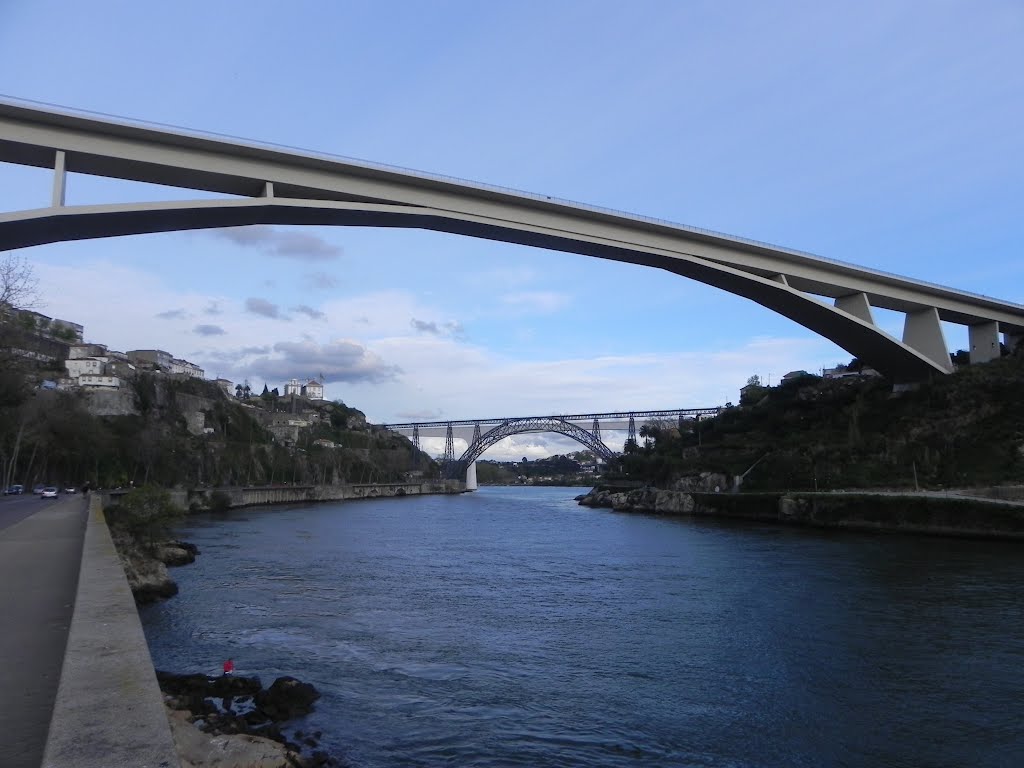 Vista de varios puentes en la desembocadura del Duero,Oporto, Portugal. ( Estepa 32). by Estepa32