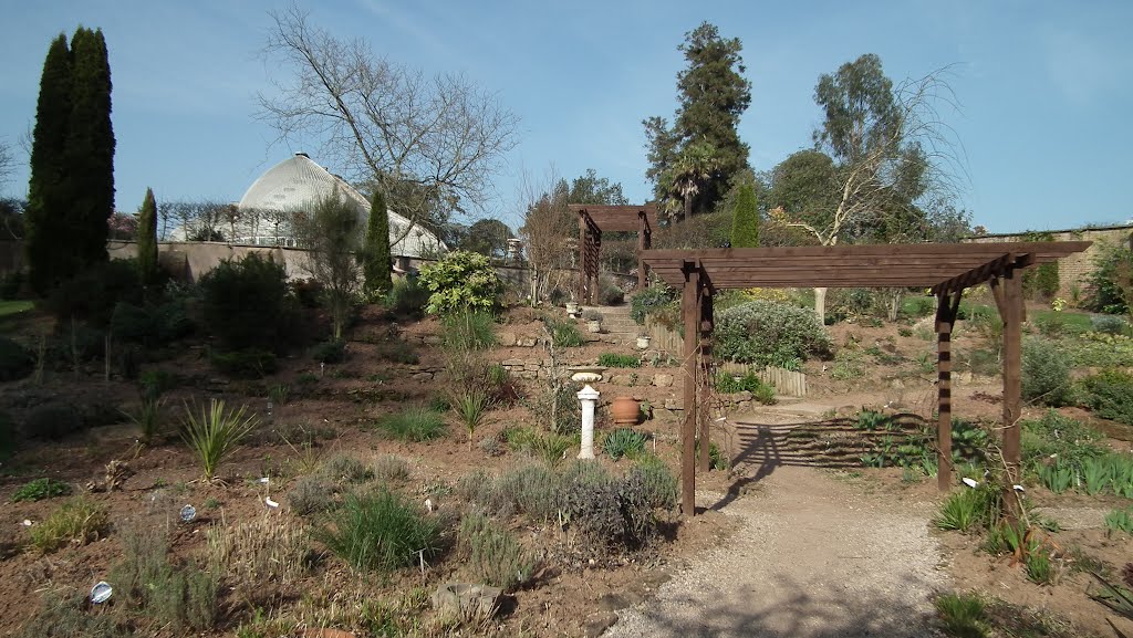 Mediterranean Garden by Tomaž Kugler