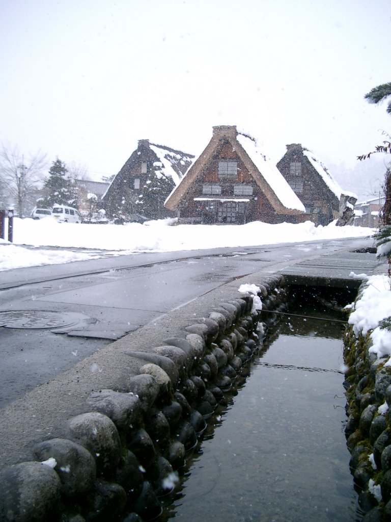 Shirakawa-go 世界遺産 白川郷荻町合掌造り集落（東通り・神田家付近） by match345