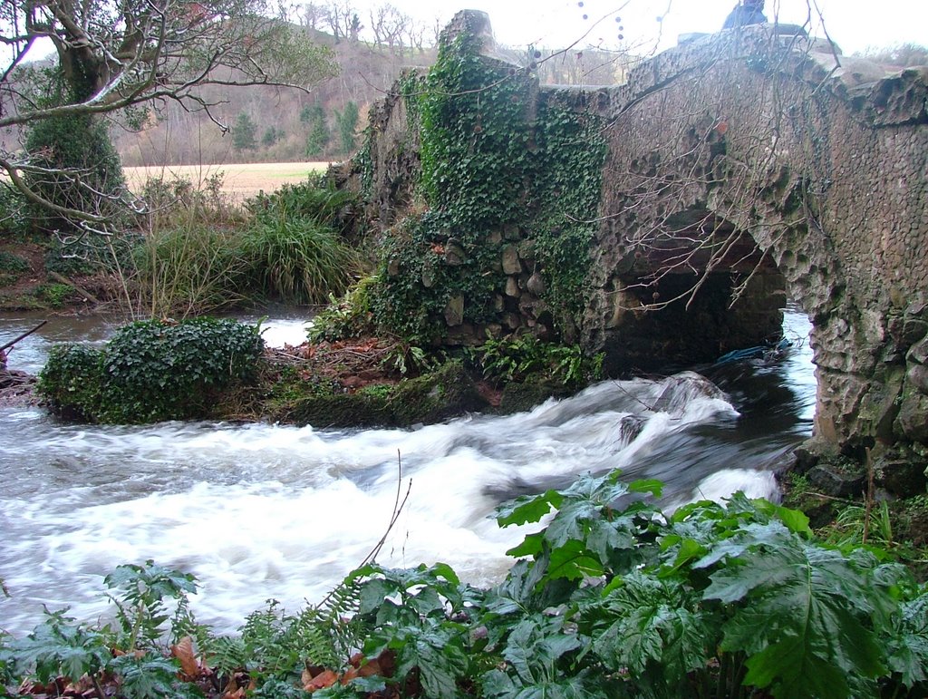 Dunster Water Mill (Bridge) by Steve Lowery