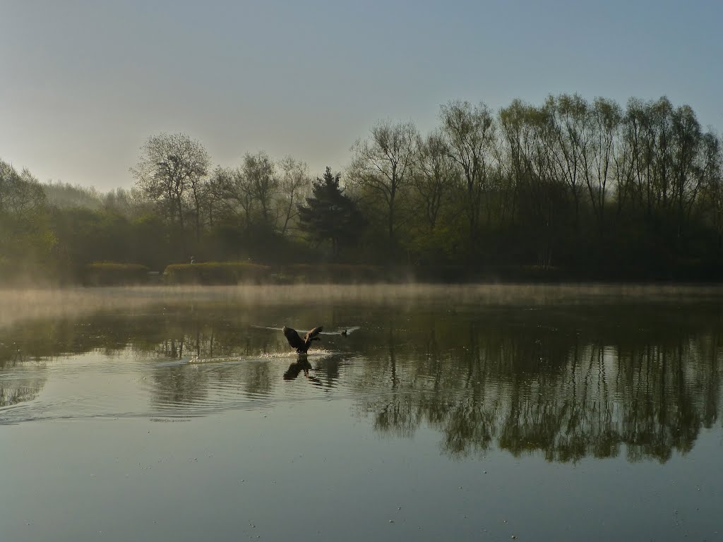 Redditch, UK by Brownhills Bob