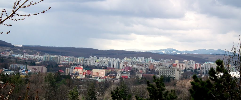 See the mountains by Dorottya Edina Kozma