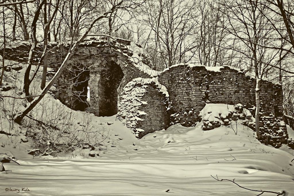 Forgotten. Georg Eggers Lime Kiln Ruins Of The Early 19th Century. Beginning Of The Entry Of Kadriorg. "Hundikuristik". by Henry Küla