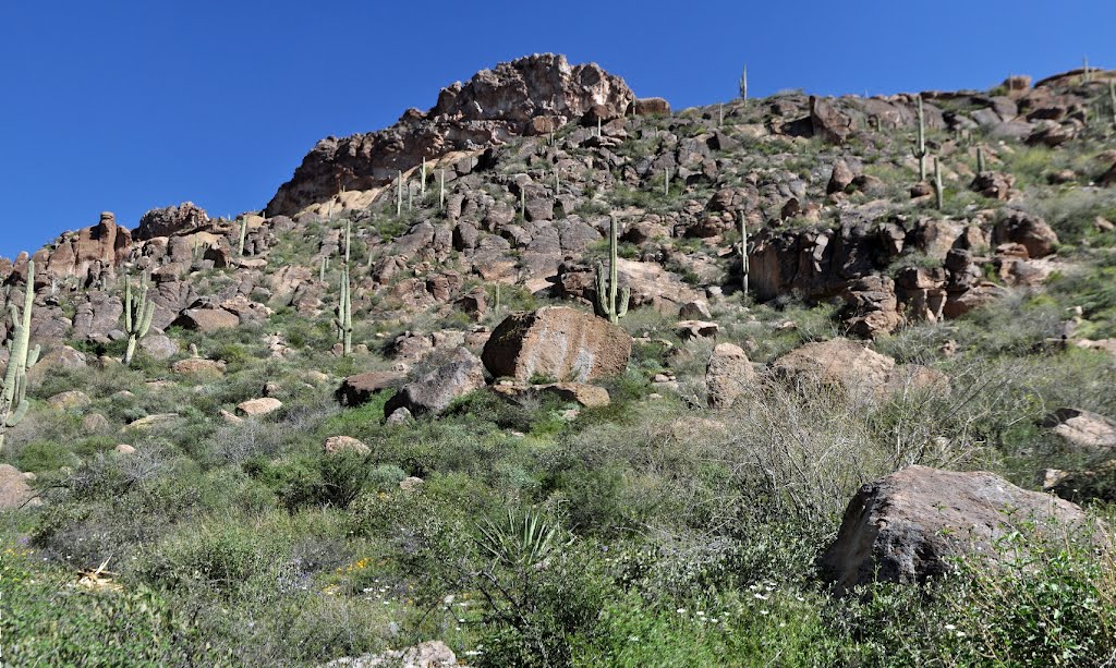 Peralta Hike 02 pan by Cliff Jennings