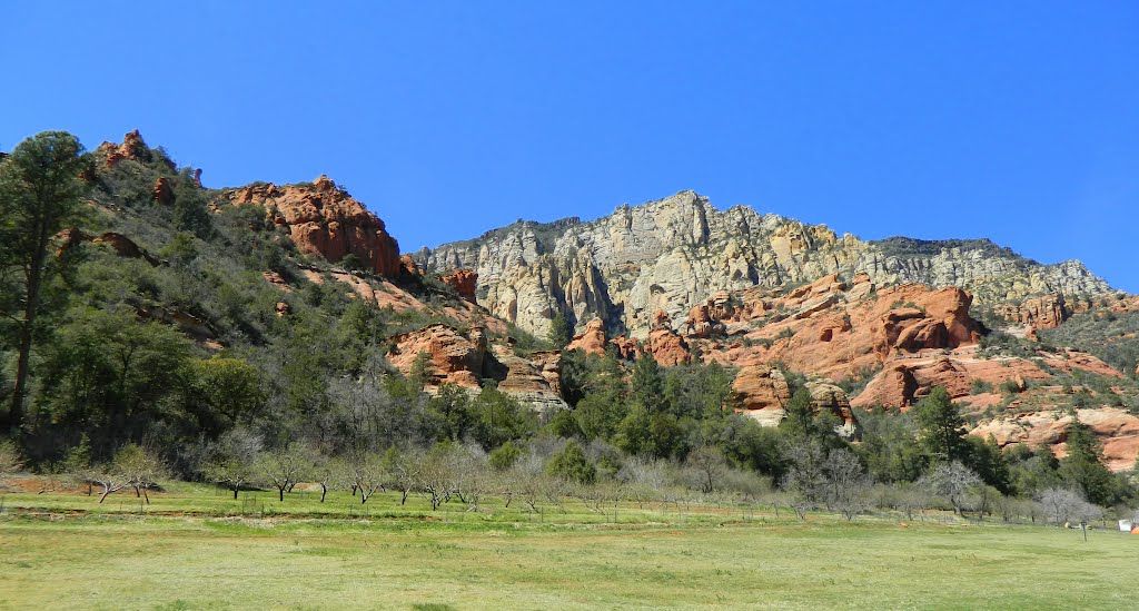 Oak Creek Canyon, near Sedona, AZ, march 31, 2012 by Tom Dudones