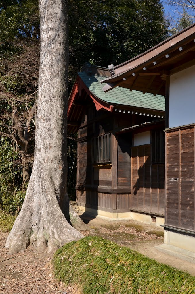 Yasaka-Jinja 八坂神社 (2012.02.19) by k.takita