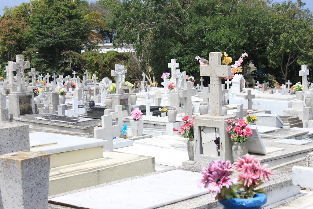 Cementerio Municipal by Brian Zurita