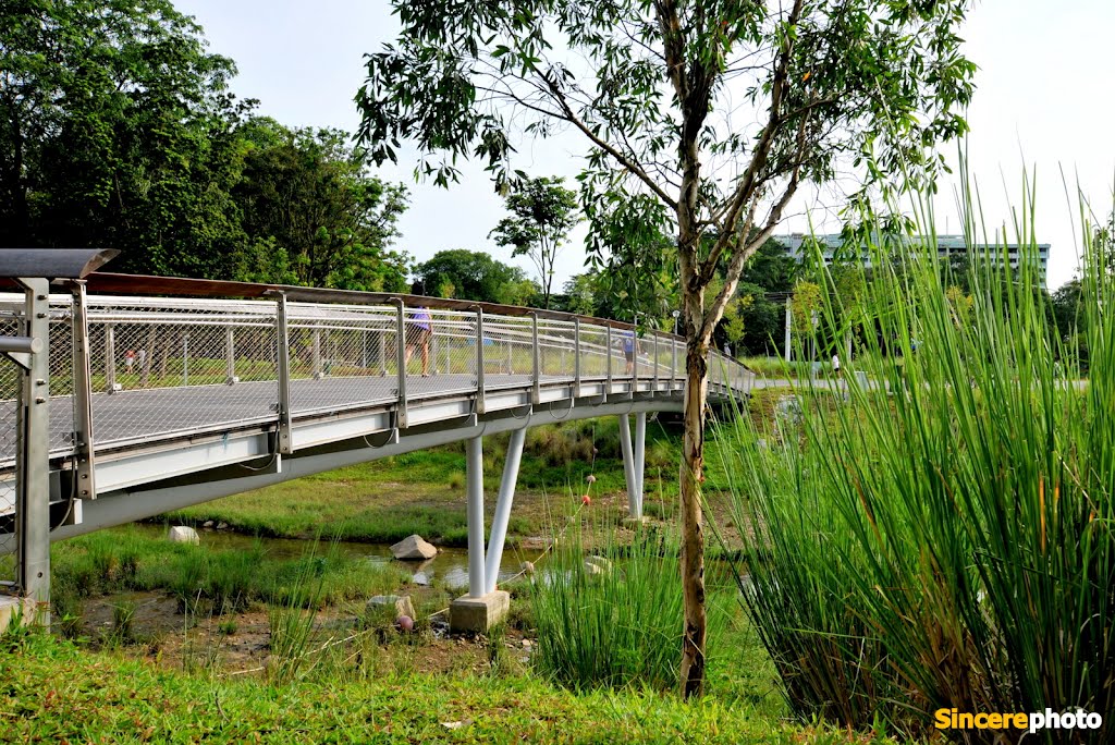 Singapore Bishan Park by Tan MS peter