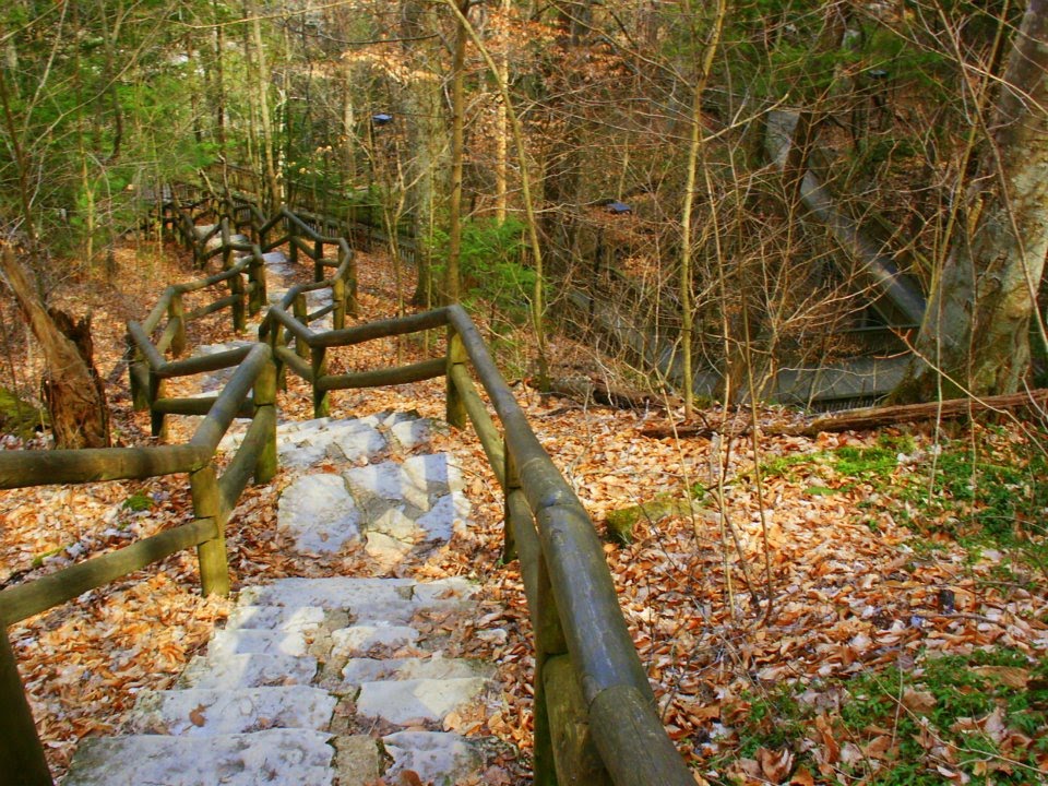 Natural Bridge State Park by Woodland Trekker