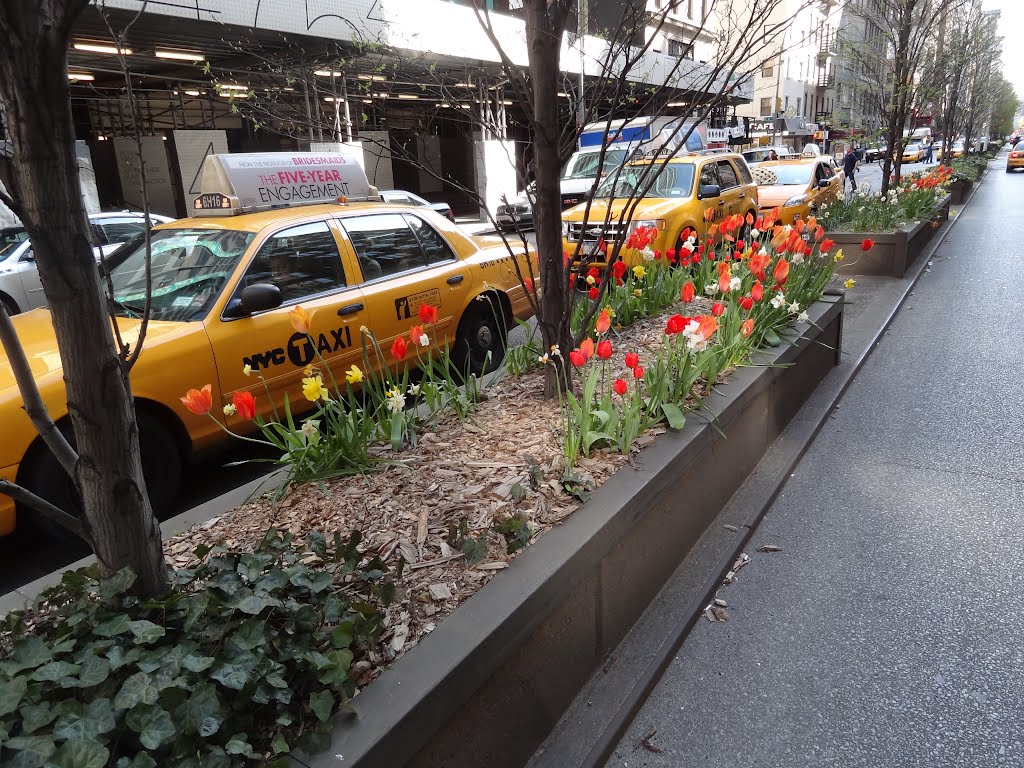 Spring on Park Ave by rogerking