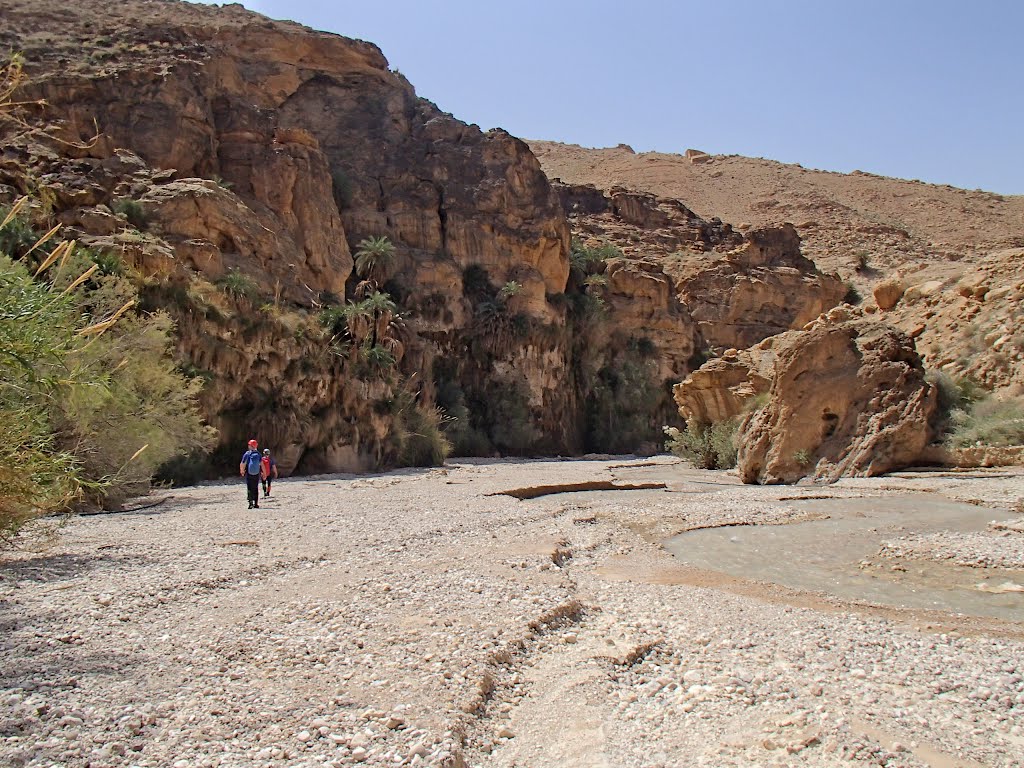 Wadi Ibn Hammad 2012 by Wolfgang Streicher (…