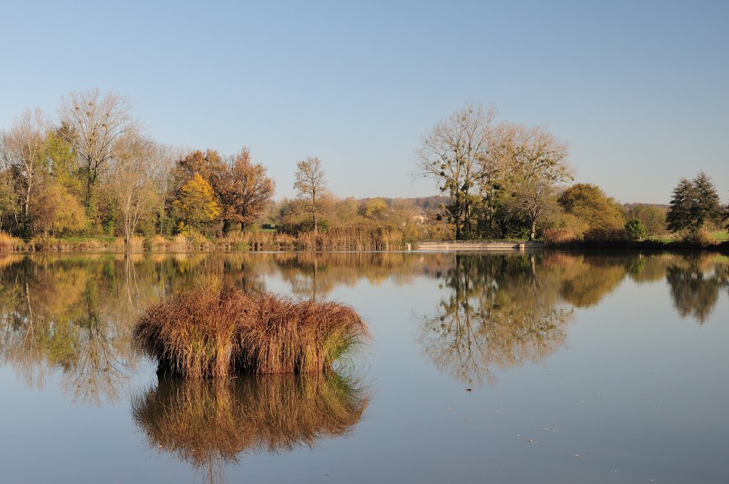 Reflexion faite by randalain