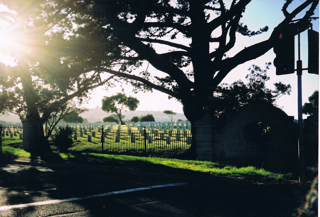 Cemetery by Freddy Cabezas Alvarez