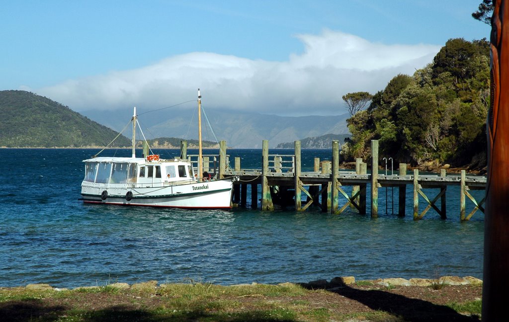 Ship Cove, New Zealand by tandmkohlbush