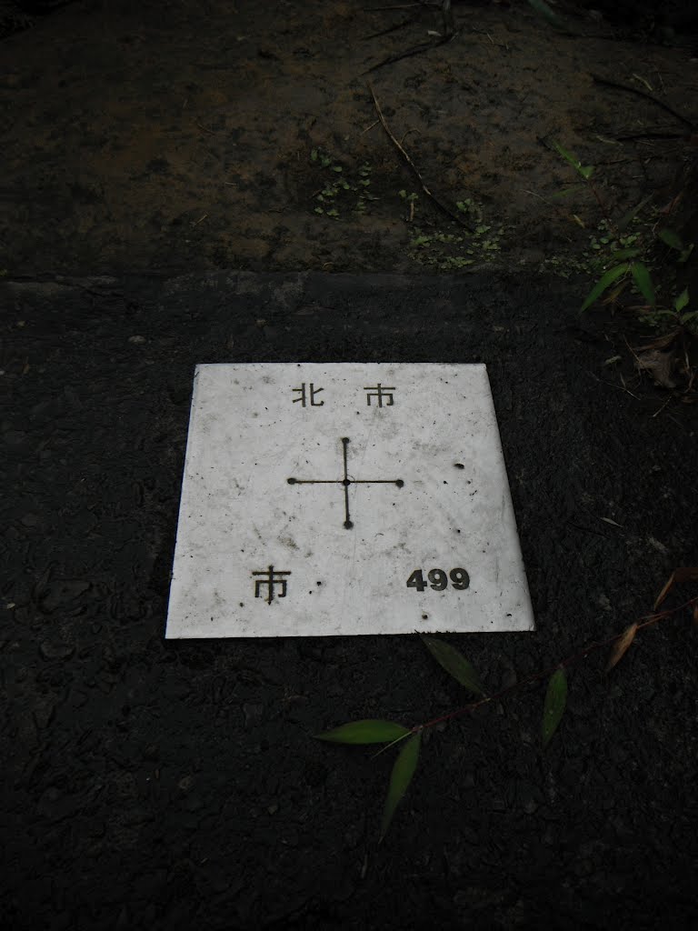 妙高台步道-妙高台北市地測精幹點-市499 by 蔡軍鴻